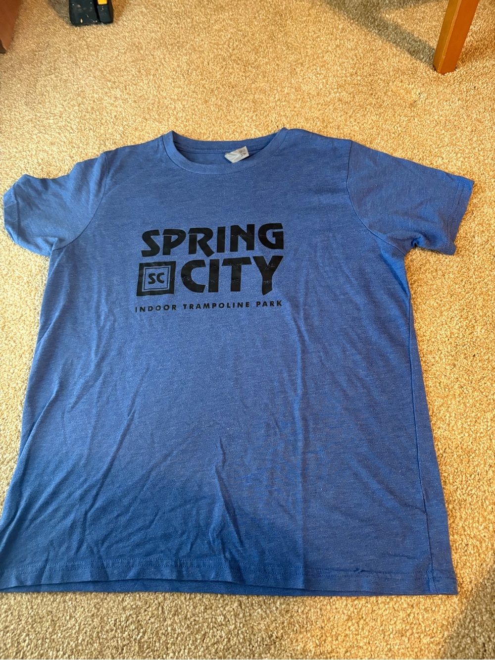 Next Level Apparel Blue 'Spring City' Kids Short Sleeve Tee